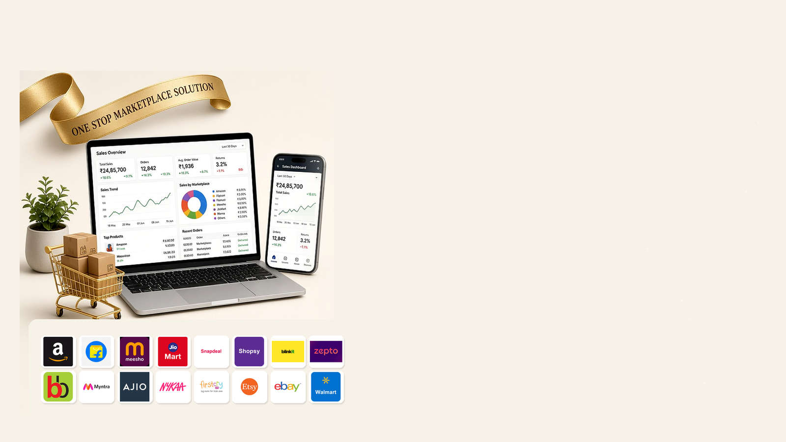 Best Ecommerce Account Management Company in India - Dream Grow Digital